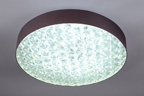 ESCADA Светильник потолочный LED 10246 