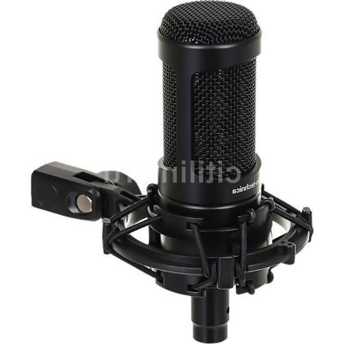 AUDIO-TECHNICA Микрофоны AT2050 Микрофон Audio-Technica AT2050, черный [80001485]