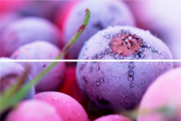 TERRA.DESIGN   панно beveled tile frozen berries ягоды 20х30 td-bt-p-fb превью