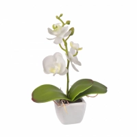 Engard   композиция цветочная "белая орхидея" engard yw-33 превью