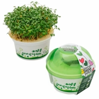 нет бренда   набор для выращивания микрозелени "моя микрозелень кресс-салат" превью