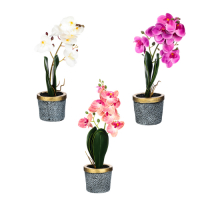 LADECOR  501-504 LADECOR Цветочная композиция в виде орхидеи, 10x10x38см, пластик, полистоун, 3 цвета превью