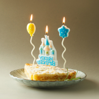 FNtastic  506-206 FNtastic Набор свечей для торта, с тортом, 16 см, 2 цвета, парафин превью