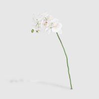 Dpi   Цветок искусственный Dpi Орхидея 70 см кремовый превью