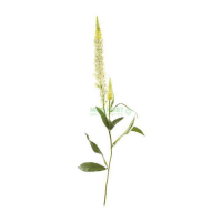 Dpi   Цветок искусственный Dpi Вероника 76см крем (42631-1) превью
