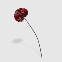 Dpi   Цветок искусственный Dpi Антуриум 47 см красный превью