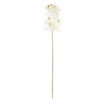 Fuzhou Light   Цветок искусственный Fuzhou Light Орхидея Tango 102 см превью