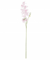 Dpi   Цветок искусственный Dpi Орхидея бело-розовая 120 см превью