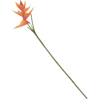 Dpi   Искусственный цветок Dpi стрелиция 82 см оранжево-желтая превью