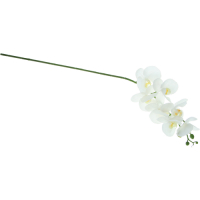 Dpi   Искусственный цветок Dpi орхидея 86 см кремовый превью