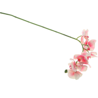 Dpi   Искусственный цветок Dpi орхидея 72 см кремово-розовая превью