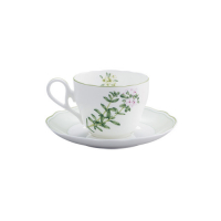 Noritake   Чашка чайная с блюдцем Noritake Английские травы (NOR4942-402/4942-403) превью