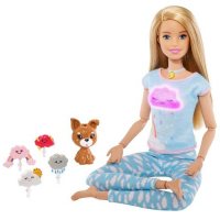 BARBIE Куклы и аксессуары Йога Игровой набор Barbie Йога, 30см [gnk01] превью