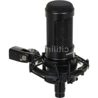 AUDIO-TECHNICA Микрофоны AT2050 Микрофон Audio-Technica AT2050, черный [80001485] превью