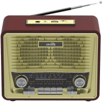 RITMIX Радиоприемники RPR-088 Радиоприемник Ritmix RPR-088, коричневый превью