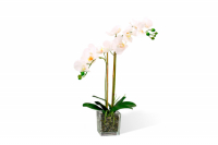 Hoff Искусственное растение в Кубе Орхидея Фаленопсис  превью